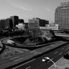 2010多摩センター桜-249
