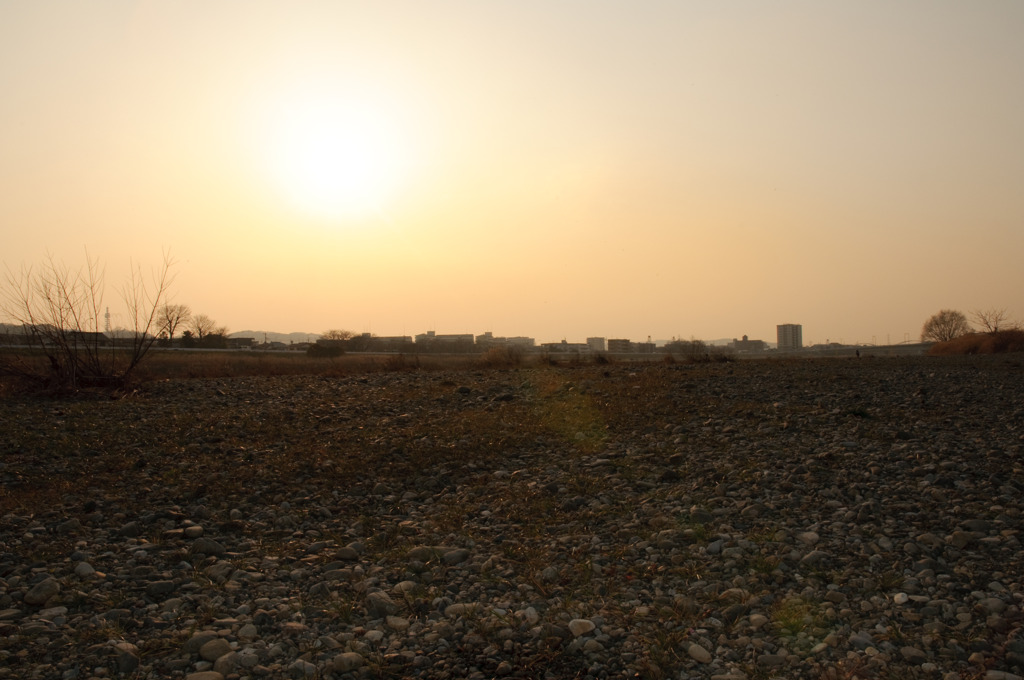 多摩川(2010-2-22)-18