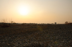 多摩川(2010-2-22)-18