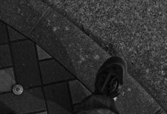 多摩川(2010-2-22)-9