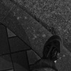 多摩川(2010-2-22)-9