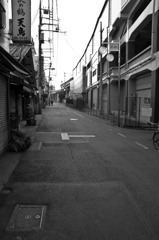 多摩川(2010-2-22)-1