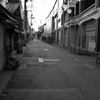 多摩川(2010-2-22)-1