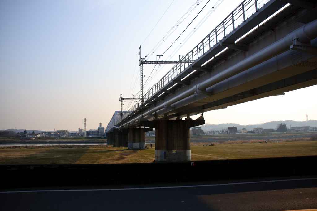 多摩川(2010-2-22)-10