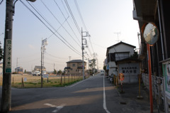 多摩川(2010-2-22)-4