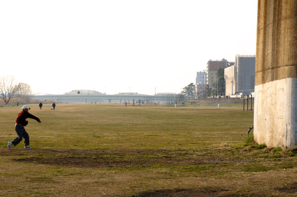 多摩川(2010-2-22)-12