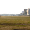 多摩川(2010-2-22)-12