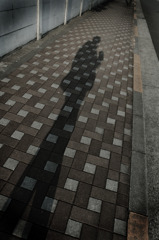 多摩川(2010-2-22)-7