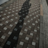 多摩川(2010-2-22)-7