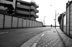 多摩川(2010-2-22)-6