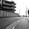 多摩川(2010-2-22)-6