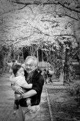 2010多摩センター桜-278