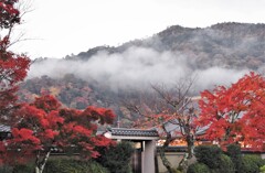 早朝の天龍寺