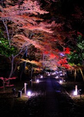 鹿王院続く参道