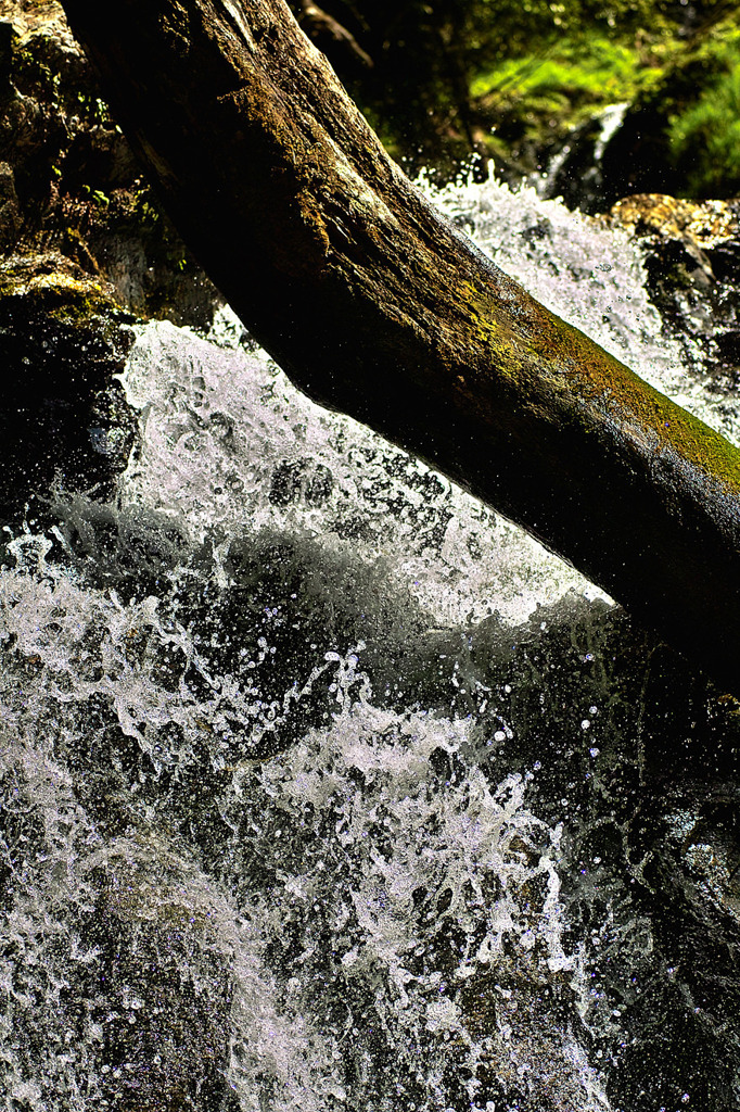SDIM4405