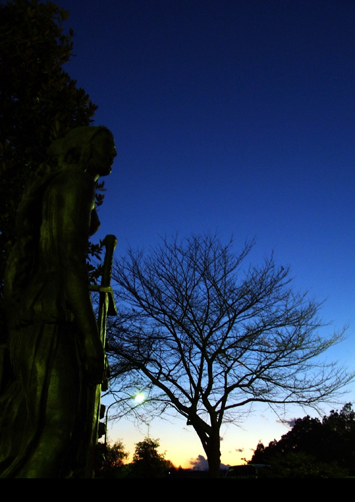 DSCF0565