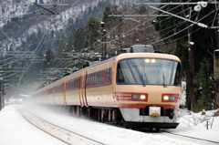 北陸を行く４８５系特急列車