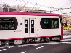 お花見電車^^