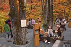 紅葉図書館