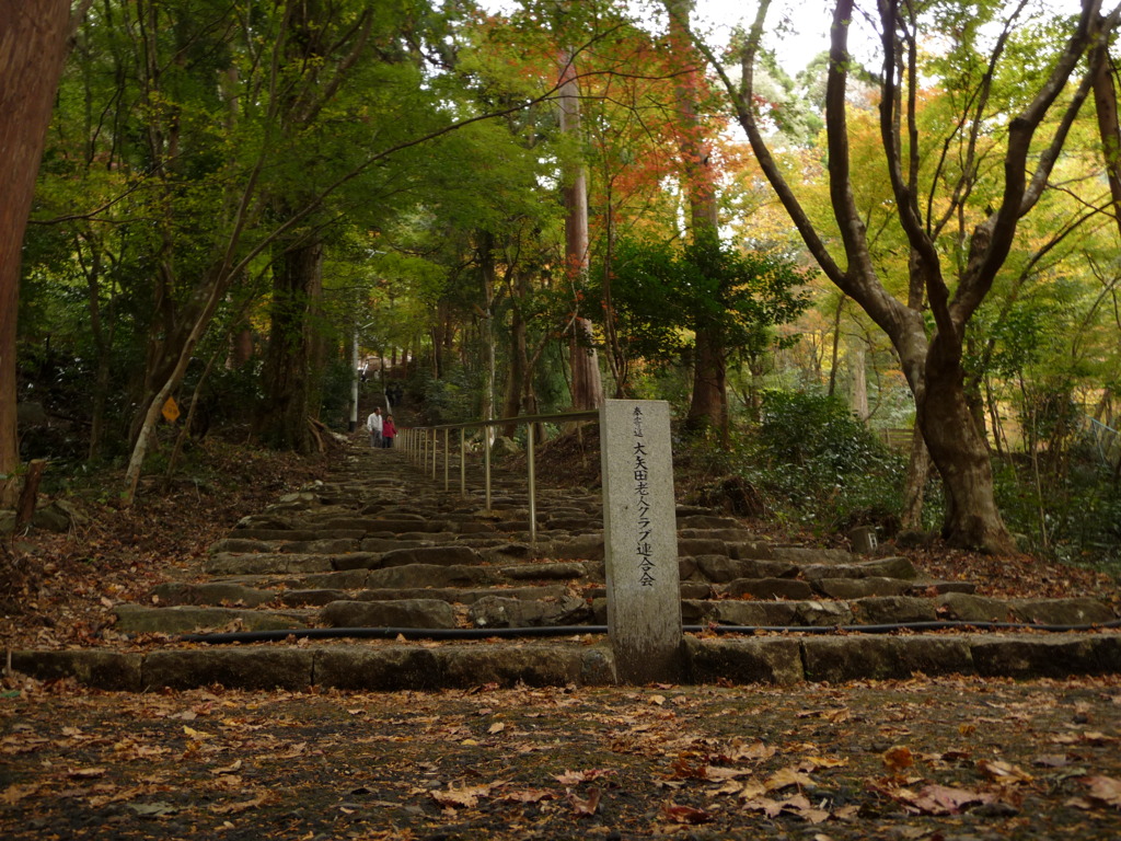 荘厳