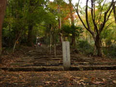 荘厳