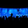 AQUA THEATER