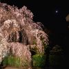 ヒルサイドテラスの夜桜
