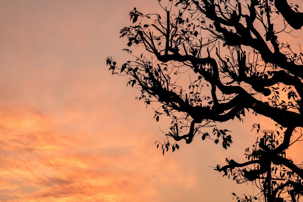 茶屋の夕日