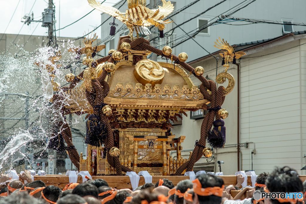 深川八幡祭り　2015