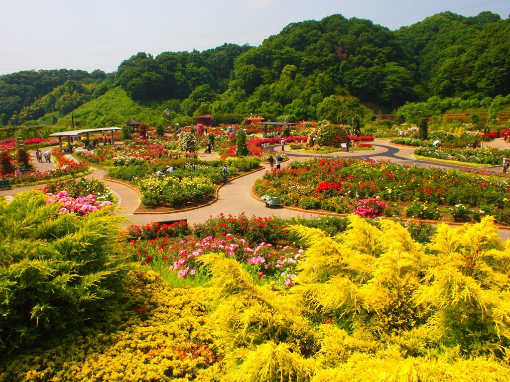 世界のバラ園