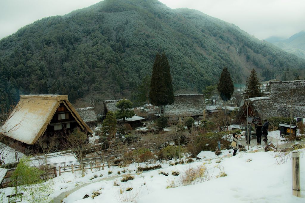 合掌村の朝
