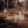Flood