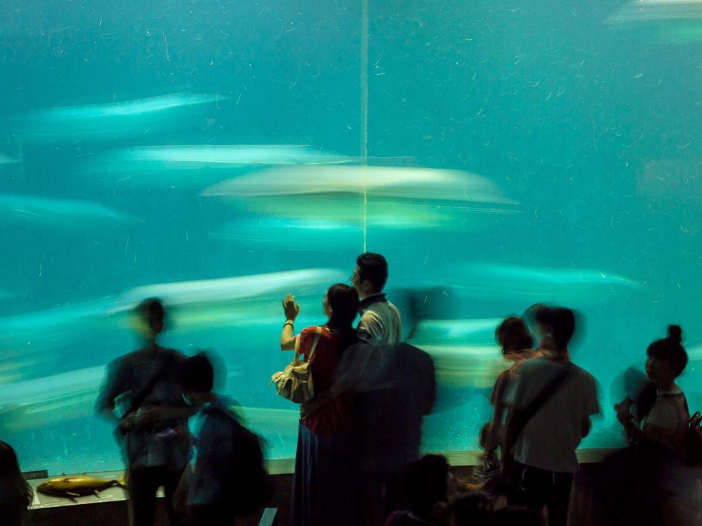 海ほたる