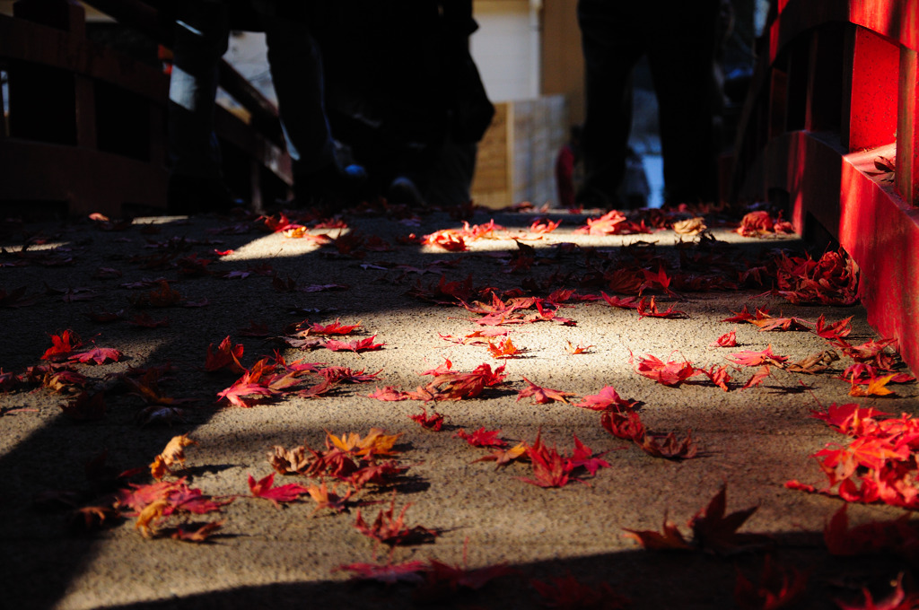 橋上の紅葉