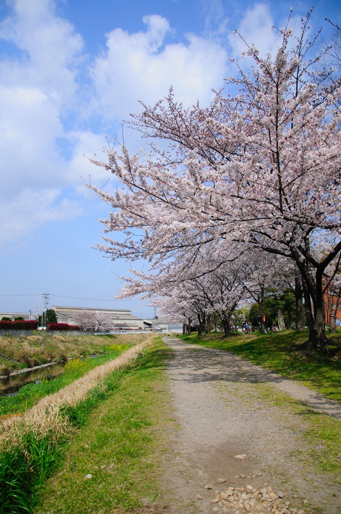 小春日和