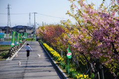 運動日和