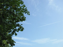いつもの空
