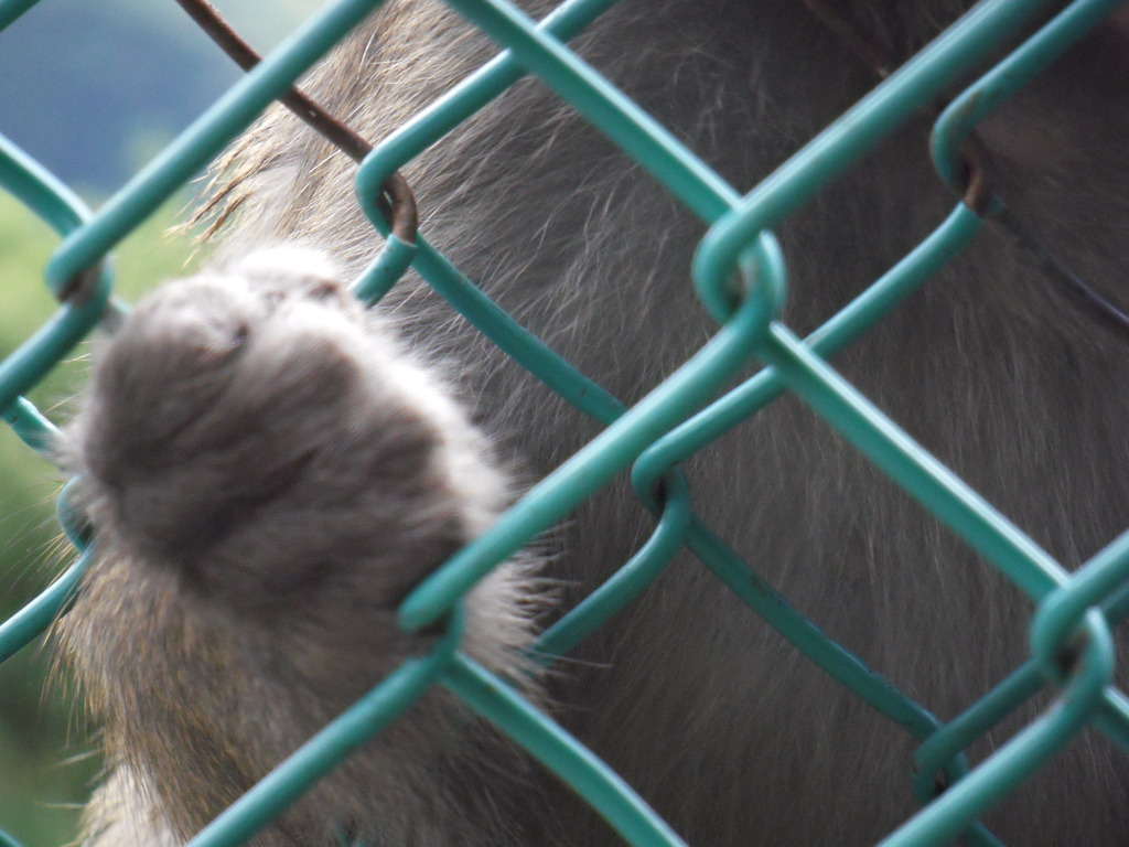 ギュッと、強く
