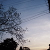 闇迫る空