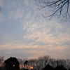 ほんのりとした夕暮れ
