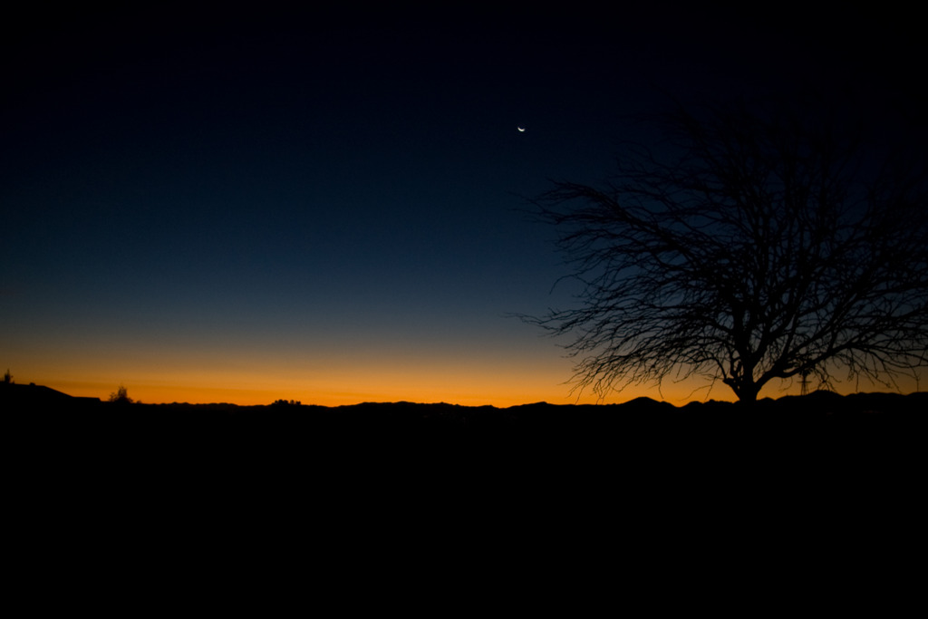 Dawn