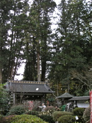 DSCN1175