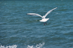 気流