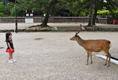 おせんべい　ほしいの？