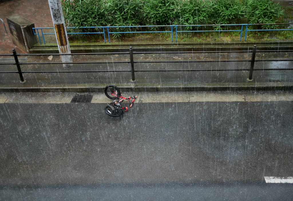 雷雨