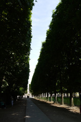 Jardin du Luxembourg