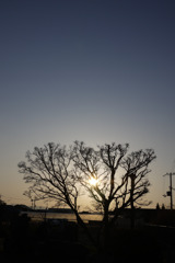 夕暮れ…ちょっと前
