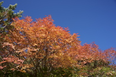 木曽御嶽山１
