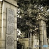 Foreigner cemetery in Yokohama