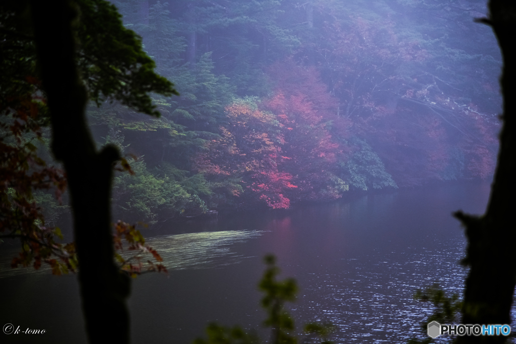 霧に覆われた白駒の紅葉２